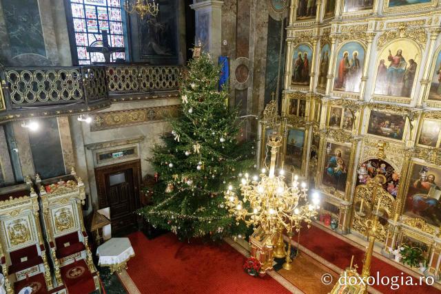 Bradul de Crăciun de la Catedrala Mitropolitană din Iași