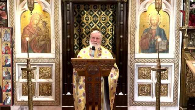 Pr. Prof. Ion Vicovan