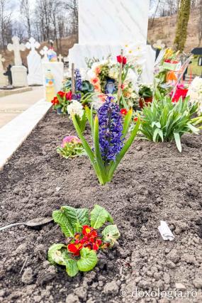 Cum am aprins 149 de candele în cimitirul Sihăstriei și un adevăr cutremurător: „Viața noastră începe Dincolo, tată!”
