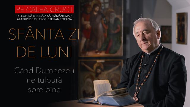 pr Stelian Tofan