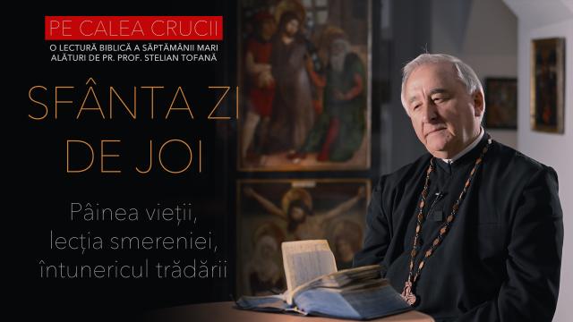 pr stelian tofan