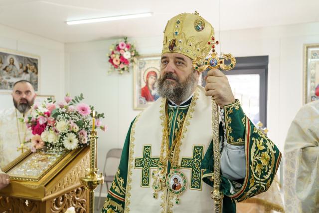 PS Nichifor Botoșăneanul