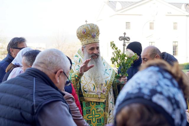 Sărbătoarea Floriilor la Iași: „Zi de bucurie, pentru că se prefigurează Taina Învierii lui Hristos, izvorul vieții veșnice”
