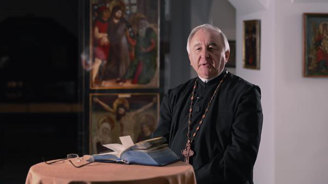 pr Stelian Tofan