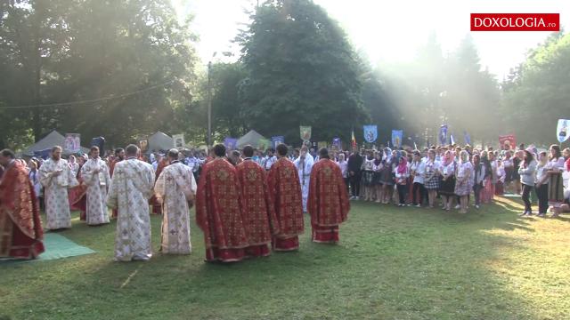 Tabăra de la Nemțișor, 2015