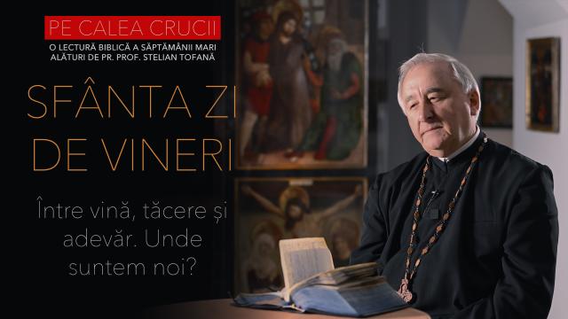Pr Stelian Tofan