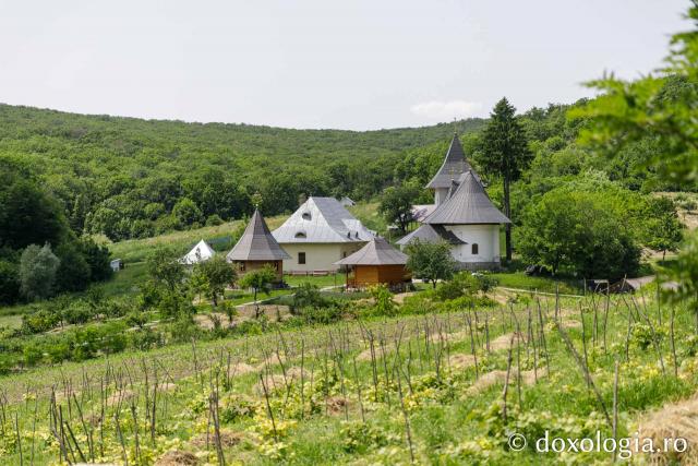 Mănăstirea Cozancea