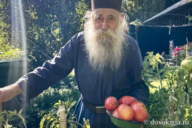 Cum am dat o tură de Rai sau despre Părintele Gavriil, grădinarul din dealul Sihăstriei