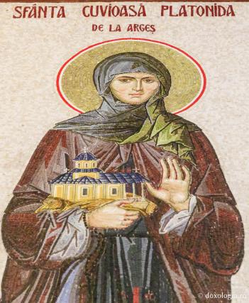 Sfânta Cuvioasă Platonida de la Argeș (fosta Despina Milița, soția Sfântului Voievod Neagoe Basarab)