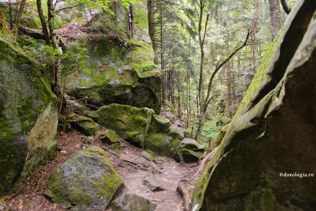 pustiul Sihlei - spre pestera Sfintei Teodora