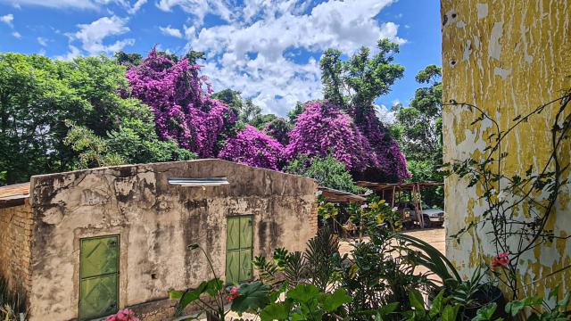 Tanzania