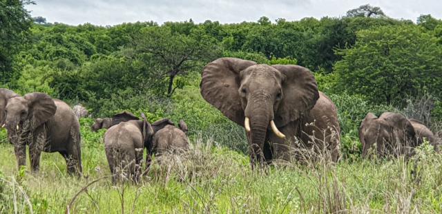 Tanzania