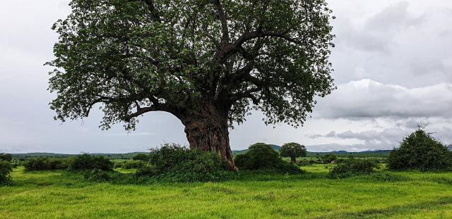 Tanzania