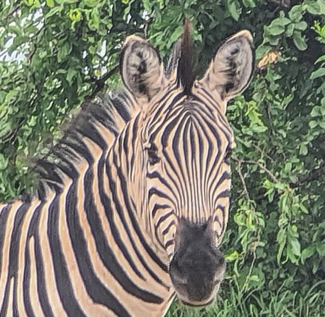 Tanzania