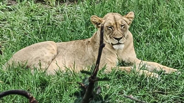 Tanzania