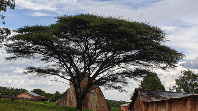 Tanzania