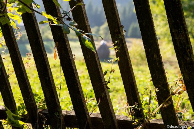 Cum postim de noi înșine