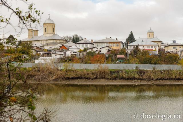 Mănăstirea Pasărea