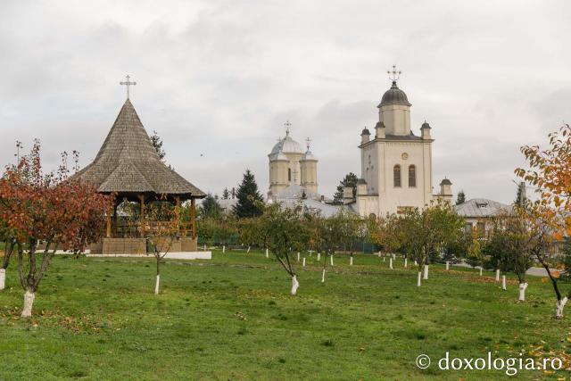 Mănăstirea Pasărea