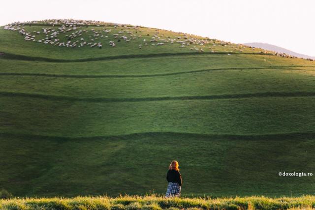 panorama - privire in departare - transhumanta