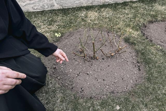 Maica Fotinia și lecția florilor de la Văratec – „Oamenii au țepi mai greu de rupt”