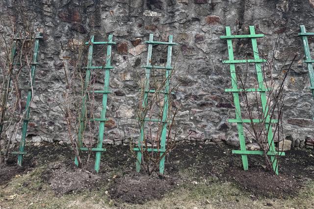 Maica Fotinia și lecția florilor de la Văratec – „Oamenii au țepi mai greu de rupt”