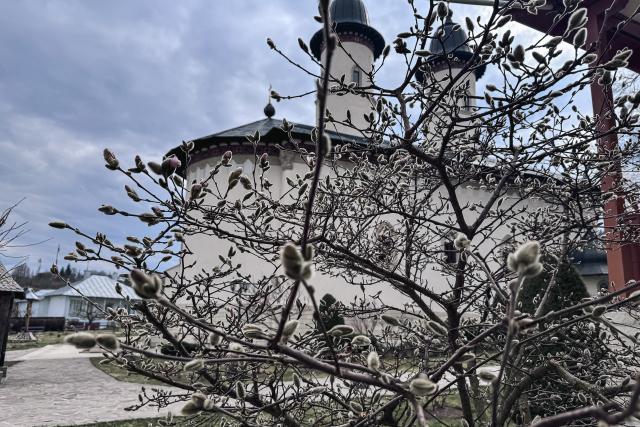 Maica Fotinia și lecția florilor de la Văratec – „Oamenii au țepi mai greu de rupt”