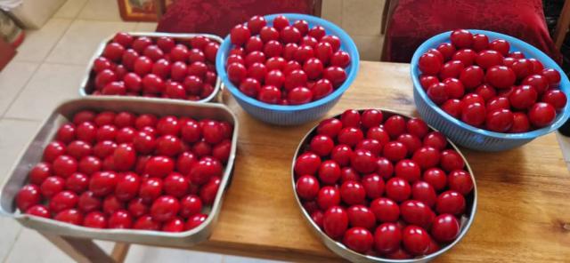 Ouăle roșii – darul nostru de Sărbătoarea Învierii Domnului