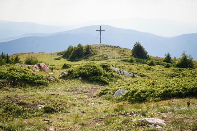 Contemplarea naturii