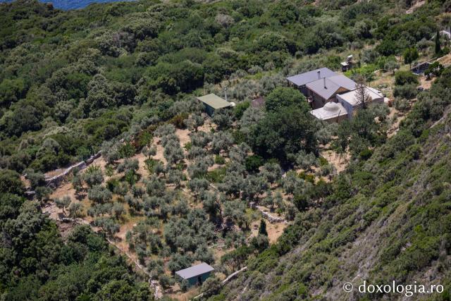 Chilia „Buna Vestire” Ianakopoula – Vigla, Athos
