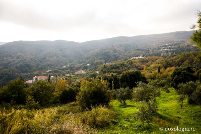 Chilia „Sfinții Apostoli” Alipiou – Kareia