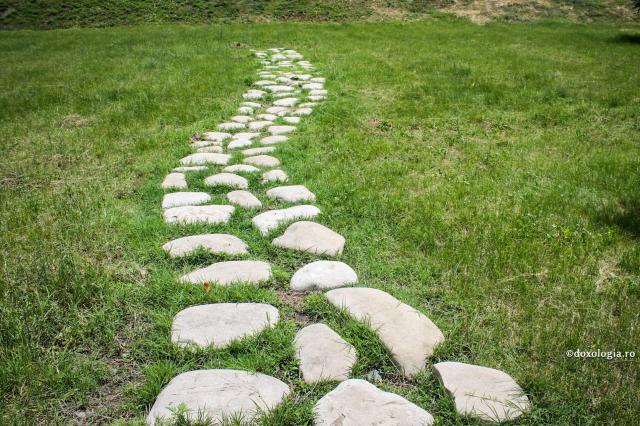 cărare în natură