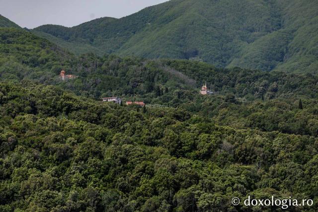 Chilia „Cinstita Cruce” – Provata, Athos