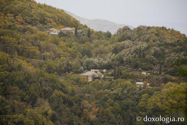 Chilia „Sfântul Andrei” – Provata, Athos