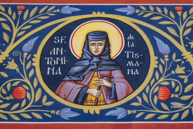 Sfânta Cuvioasă Antonina de la Tismana