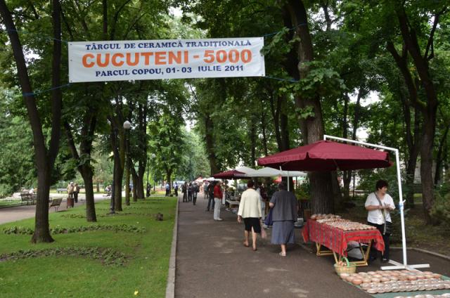 Târgul de oale din Copou (foto)