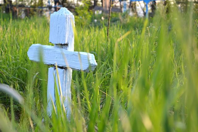 Crucile unui cimitir de țară