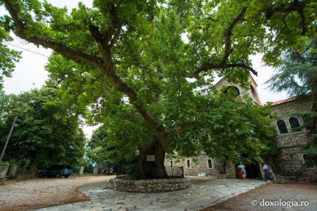 (Foto) Mănăstirea Aghia Lavra – Grecia 
