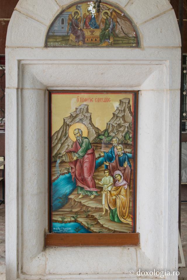 (Foto) Sicomorul lui Zaheu și Mănăstirea Sfântul Proroc Elisei din Ierihon