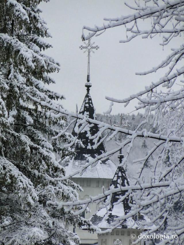 (Foto) Iarna la Mănăstirea Sihăstria