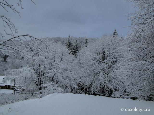 (Foto) Iarna la Mănăstirea Sihăstria