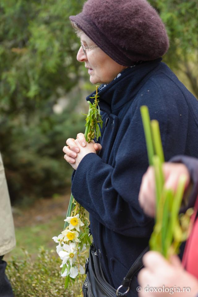 Procesiune în ajun de Florii la Iași (galerie FOTO)