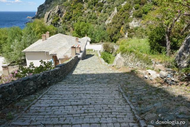 Caldarâmul ce urcă spre Mănăstirea Dionisiu, Athos