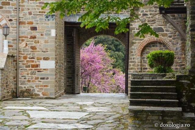 (Foto) Împrejurimile Mănăstirii Iviron – Athos 