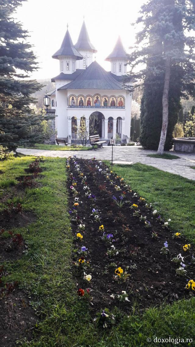 (Foto) Primăvară la Mănăstirea Sihăstria 