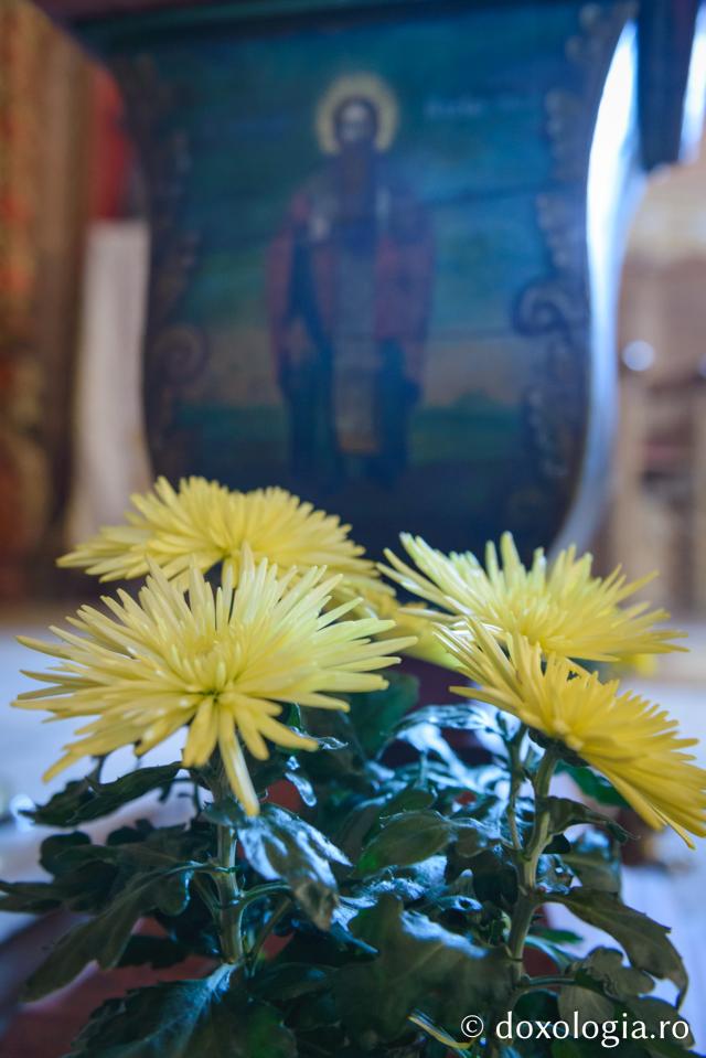 (Foto) Florile Mănăstirii Horaița