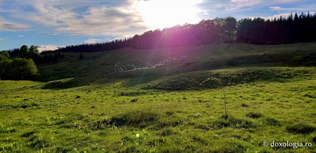 (Foto) Împrejurimile Mănăstirii Sihăstria