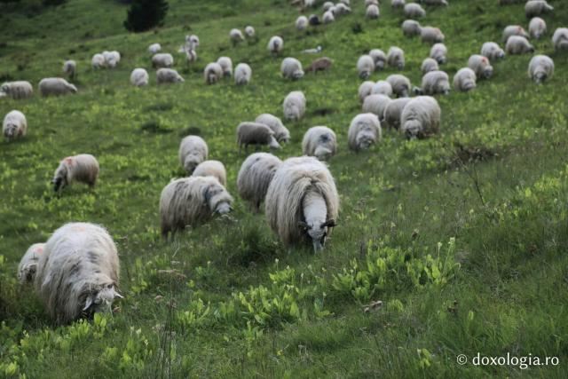 (Foto) Împrejurimile Mănăstirii Sihăstria