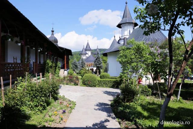 (Foto) Raiul de la Mănăstirea Sihăstria
