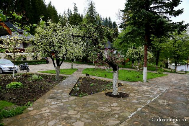 (Foto) Un pridvor al Raiului - Mănăstirea Sihăstria